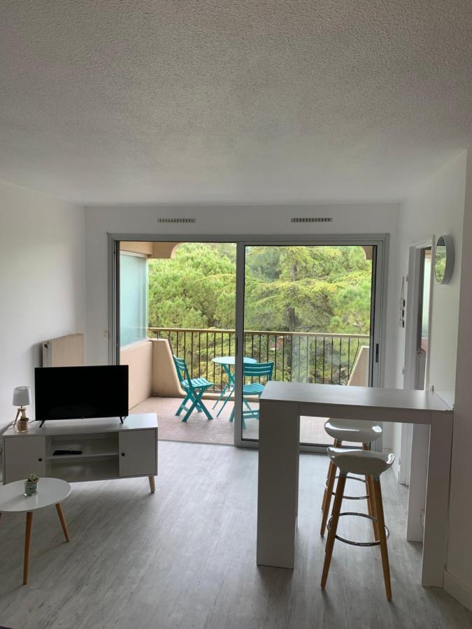 Appartement Aux 3 Rivieres A Mandelieu Exterior foto